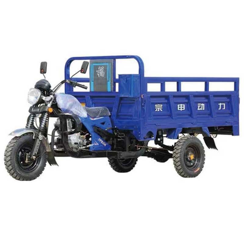 Cargo Tricycle