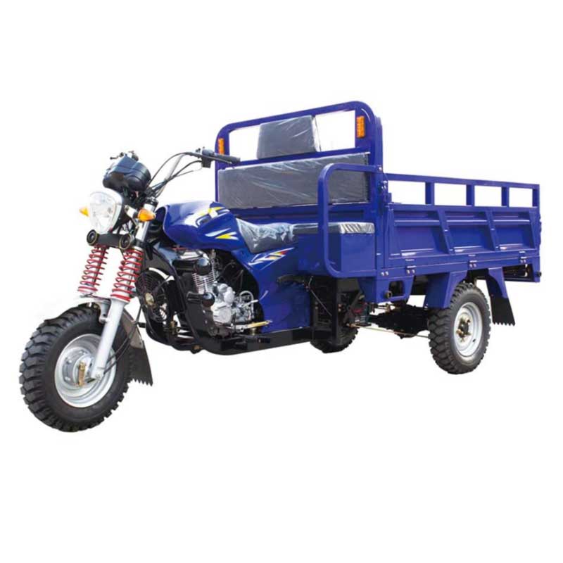 Cargo Tricycle