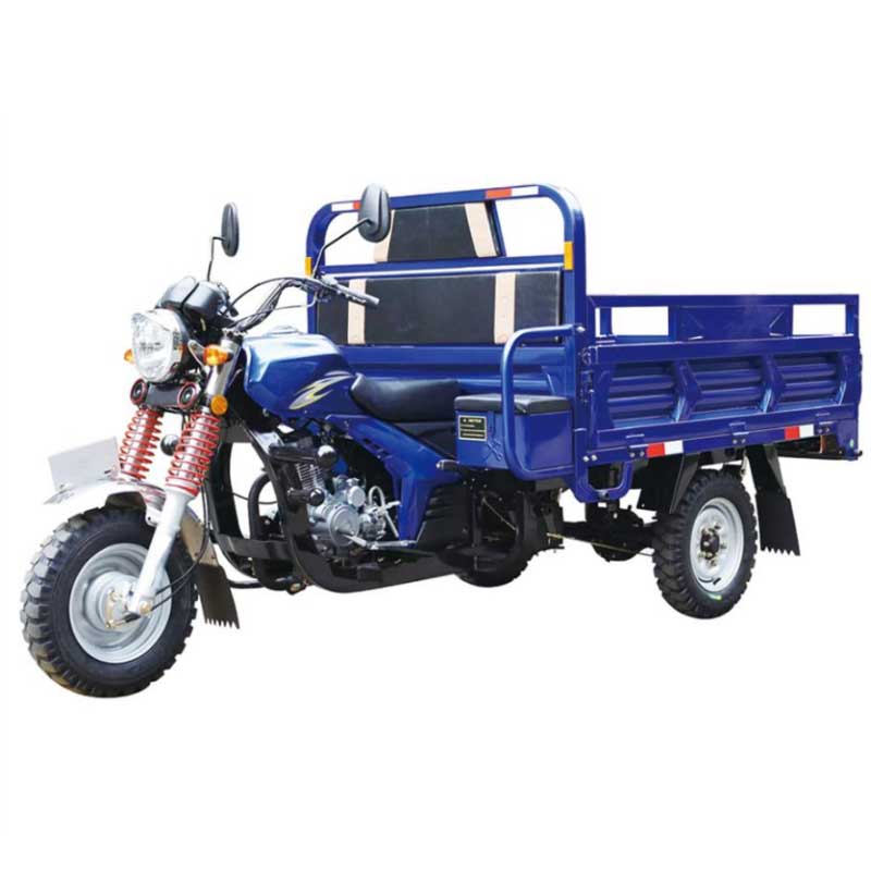 Cargo Tricycle