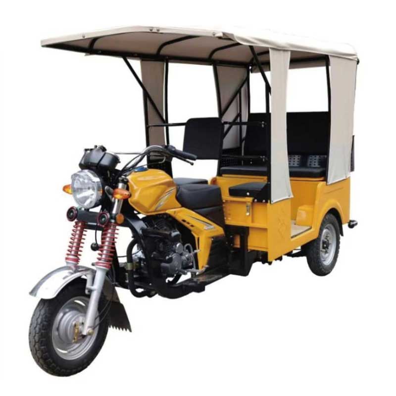 Cargo Tricycle