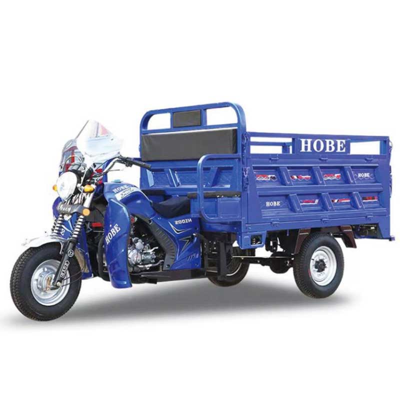 Cargo Tricycle