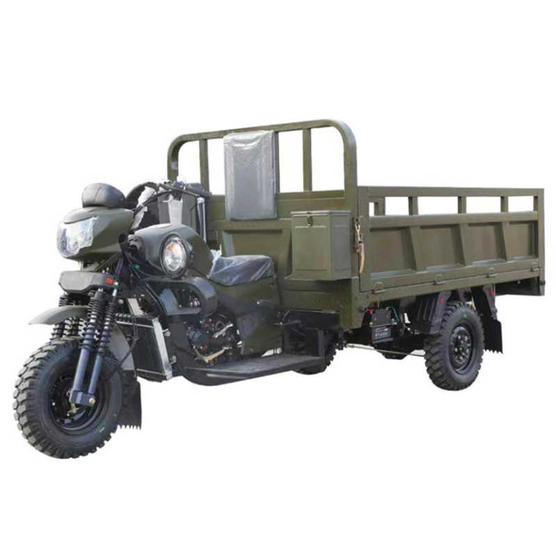Cargo Tricycle