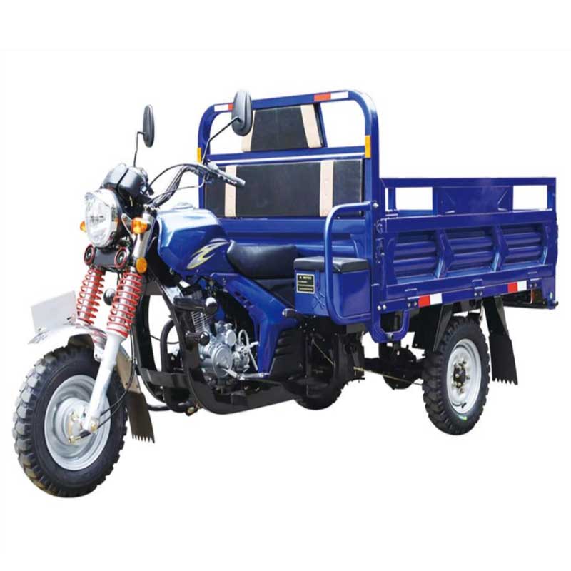 Cargo Tricycle